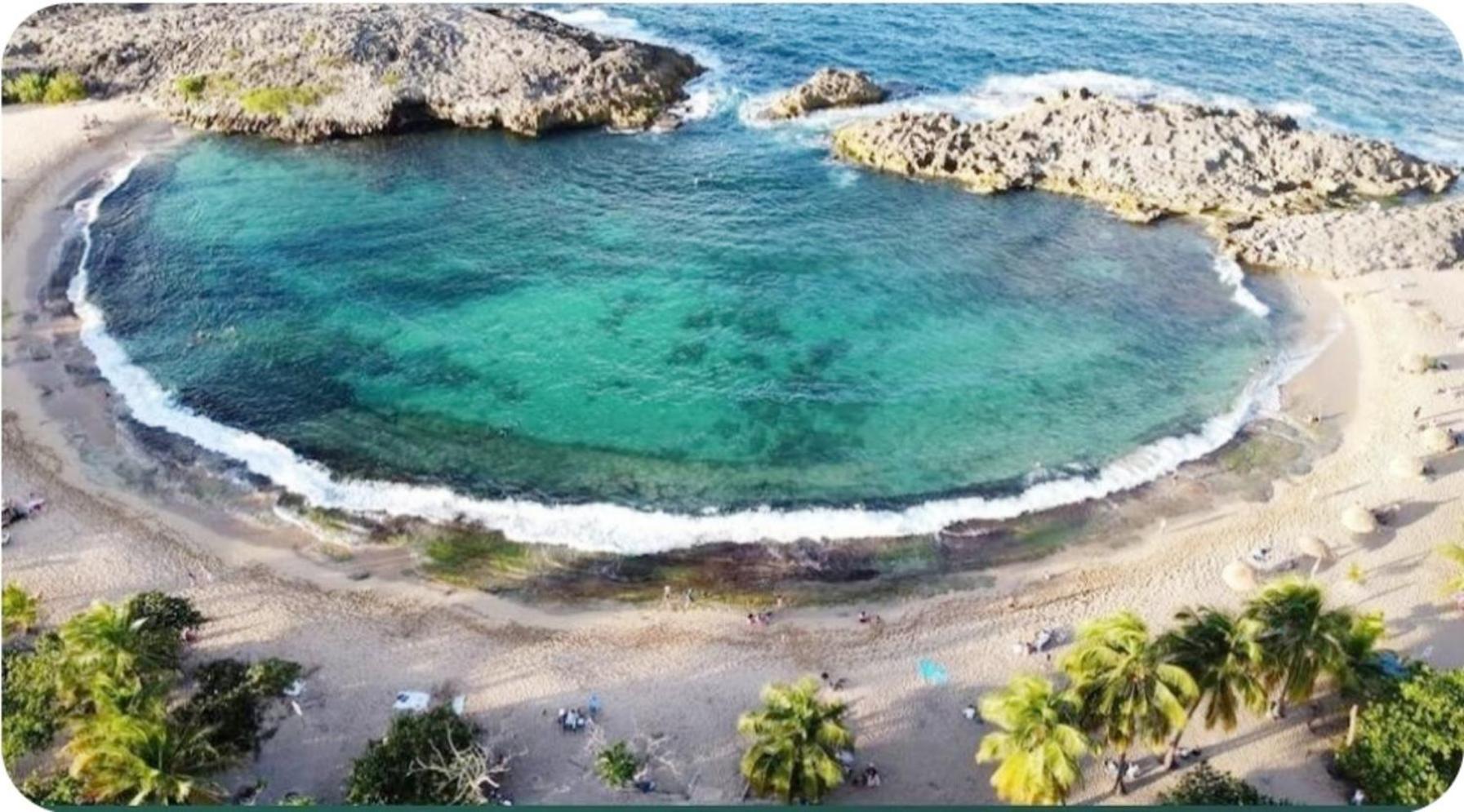 Casa Palmera Vega Baja Eksteriør billede