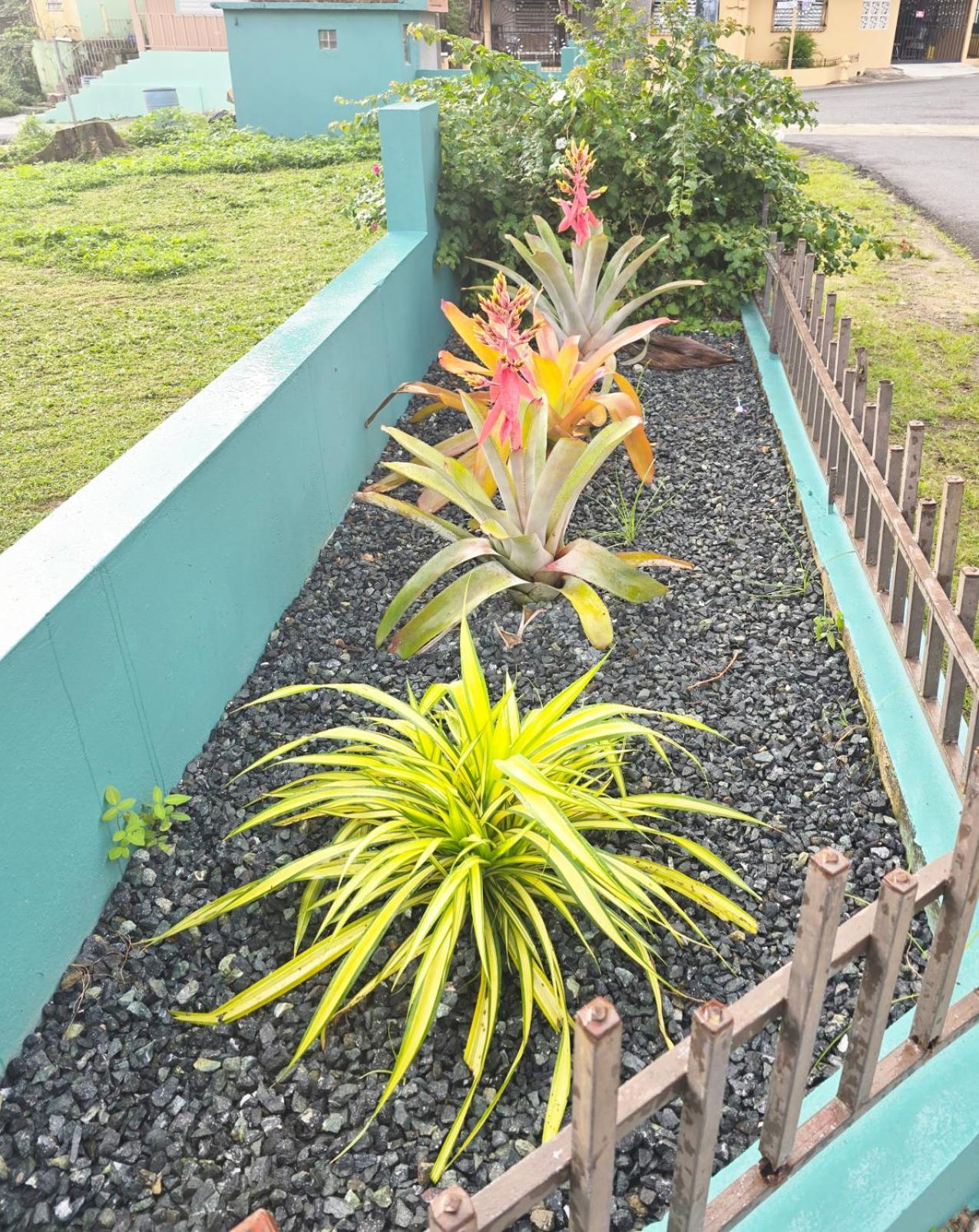 Casa Palmera Vega Baja Eksteriør billede